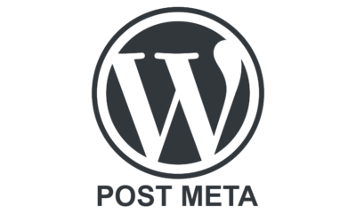 Mostrar campos personalizados en el tema de WordPress